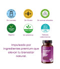 Citrato de Magnesio 1593 mg + Bisglicinato de Magnesio 600 mg + Vitaminas B5, B6 y Ashwagandha Pura, 240 cápsulas